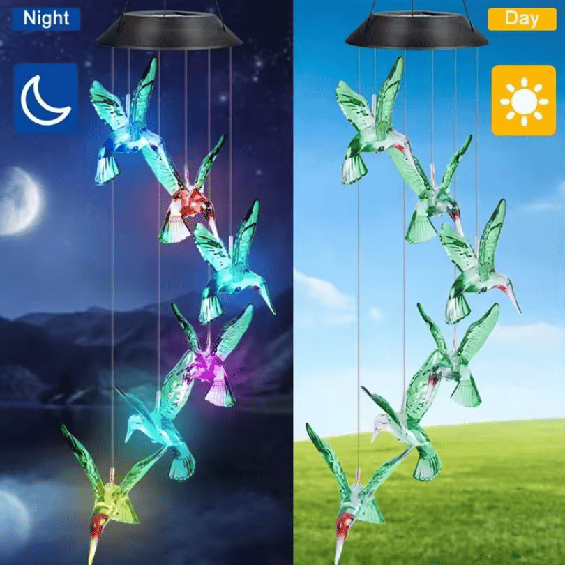COLIBRI SOLAR X2 UND SAR